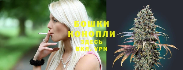прущая мука Нея