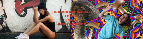 прущая мука Нея